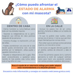 ¿Cómo puedo afrontar el estado de alarma con mi mascota?